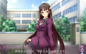 [超拔作ADVAI汉化]大催眠ERE大規模催眠淫辱AVG 全CG存档[电脑2.6G/FM/BD]